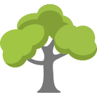 Goodyear Tree Removal