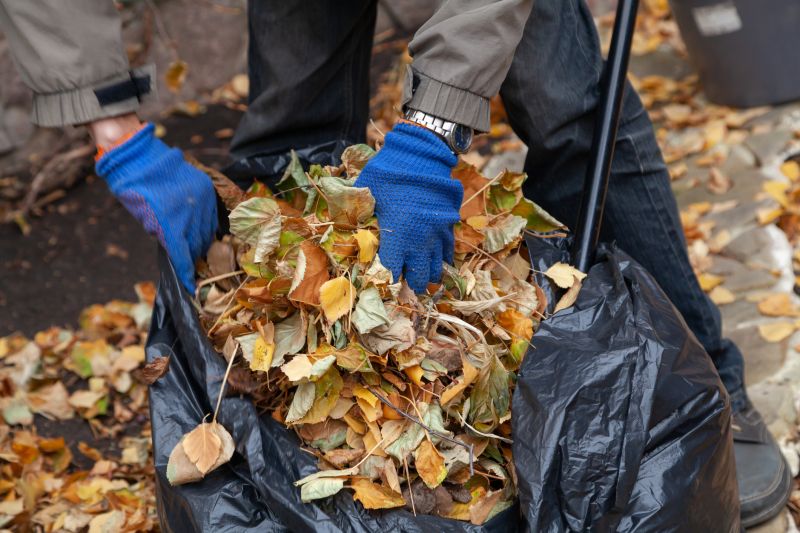 Autumn Landscape Cleanup